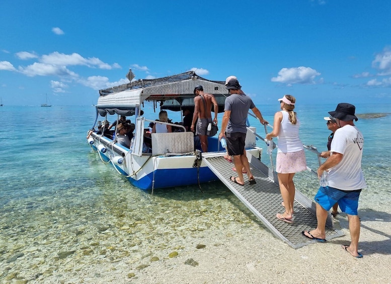 Picture 5 for Activity Town of 1770: Lady Musgrave Island Snorkelling Day Cruise