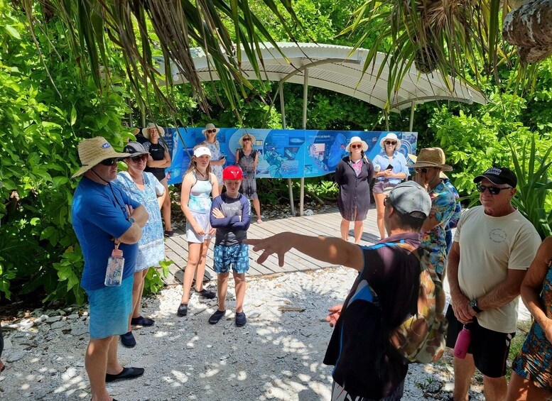 Picture 6 for Activity Town of 1770: Lady Musgrave Island Snorkelling Day Cruise