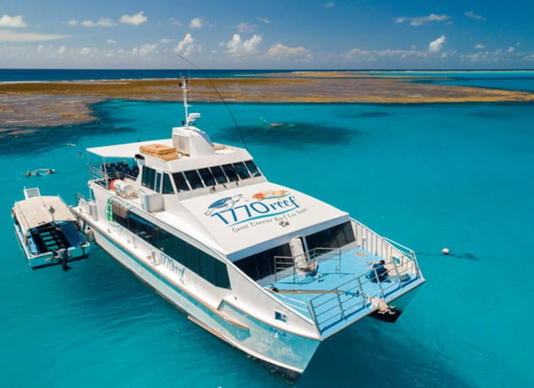 Picture 2 for Activity Town of 1770: Lady Musgrave Island Snorkelling Day Cruise