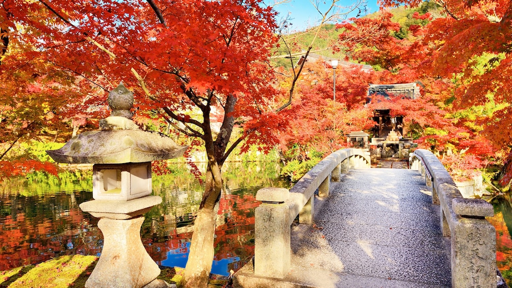 Autumn view in Kyoto 