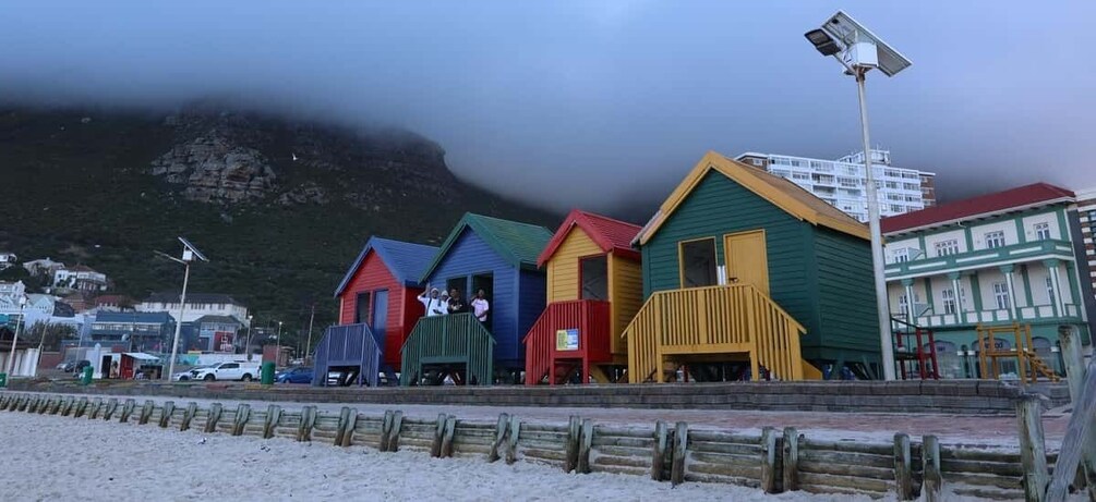 Picture 6 for Activity From Cape Town: Cape Point & Boulders Beach Full-Day Tour