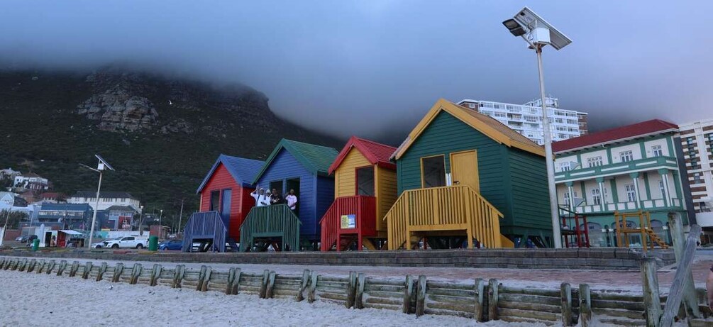 Picture 6 for Activity From Cape Town: Cape Point & Boulders Beach Full-Day Tour