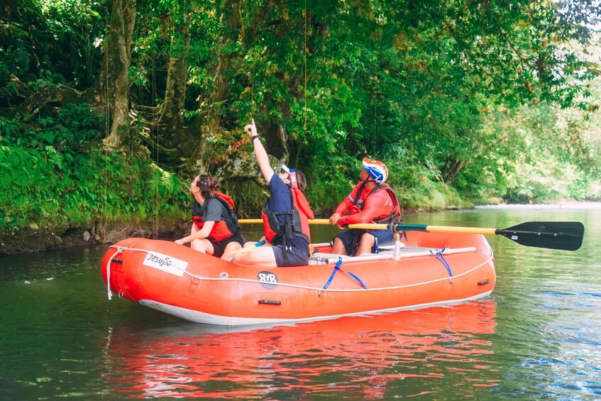 Picture 8 for Activity La Fortuna: Jungle Safari Float Sarapiqui to San Jose