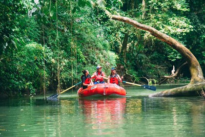 La Fortuna: Jungle Safari ลอย Sarapiqui ไปยัง San Jose