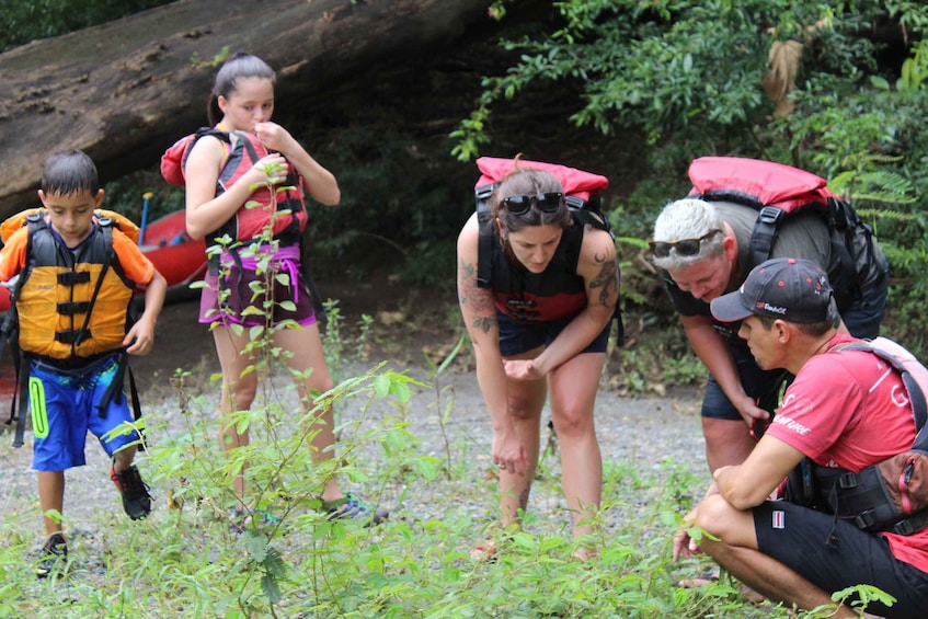 Picture 3 for Activity La Fortuna: Jungle Safari Float Sarapiqui to San Jose