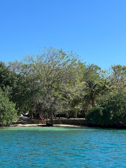 Picture 7 for Activity Turks and Caicos Islands: Private Catamaran Cruise