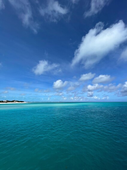 Picture 1 for Activity Turks and Caicos Islands: Private Catamaran Cruise