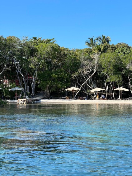 Picture 6 for Activity Turks and Caicos Islands: Private Catamaran Cruise