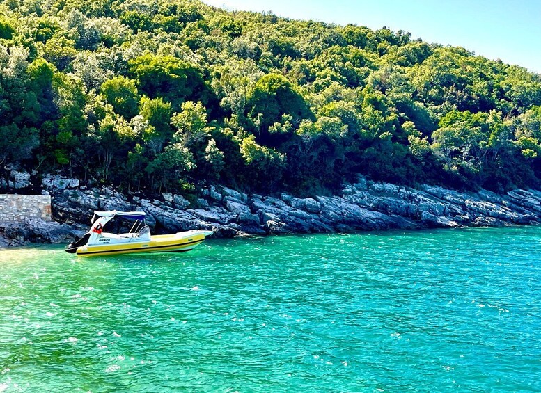 Picture 10 for Activity Vlore: Private Speedboat Tour to Sazan-Karaburun Marine Park