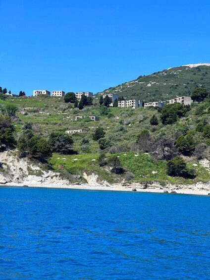 Picture 2 for Activity Vlore: Private Speedboat Tour to Sazan-Karaburun Marine Park