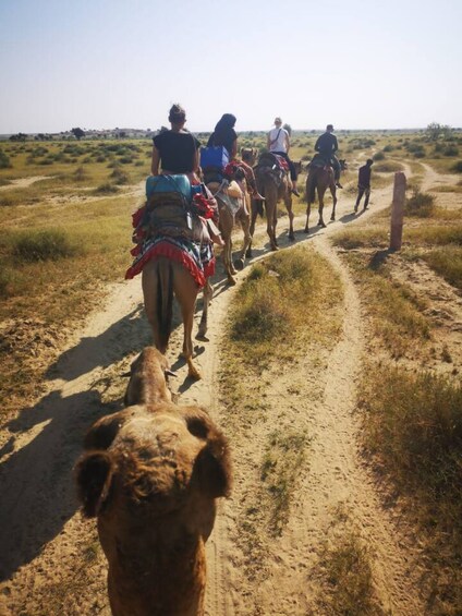 Picture 17 for Activity Jaisalmer Heritage Walking Tour With Professional Guide