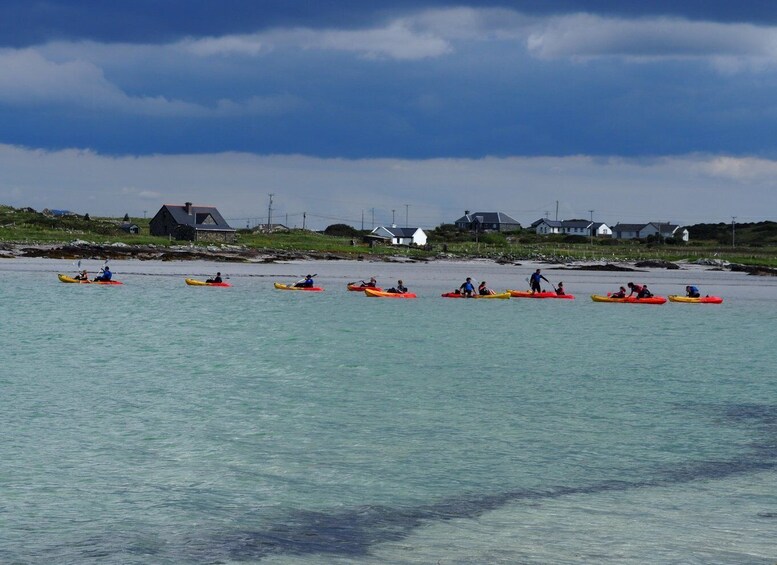 Picture 4 for Activity Mannin Bay: Connemara Coastal Kayaking Tour