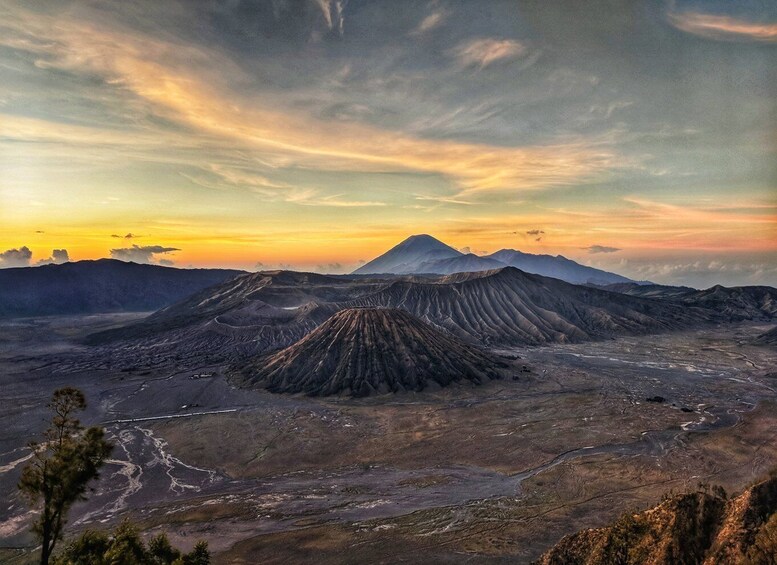 Picture 8 for Activity From Surabaya or Malang: Mount Bromo Sunrise 1-Day Trip