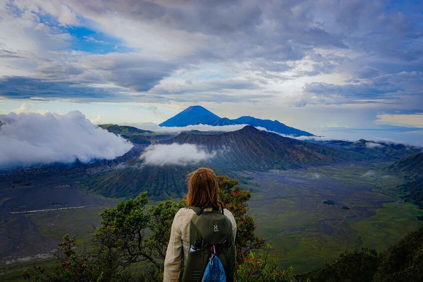 Picture 9 for Activity From Surabaya or Malang: Mount Bromo Sunrise 1-Day Trip