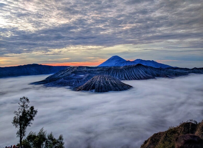 Picture 7 for Activity From Surabaya or Malang: Mount Bromo Sunrise Day Trip