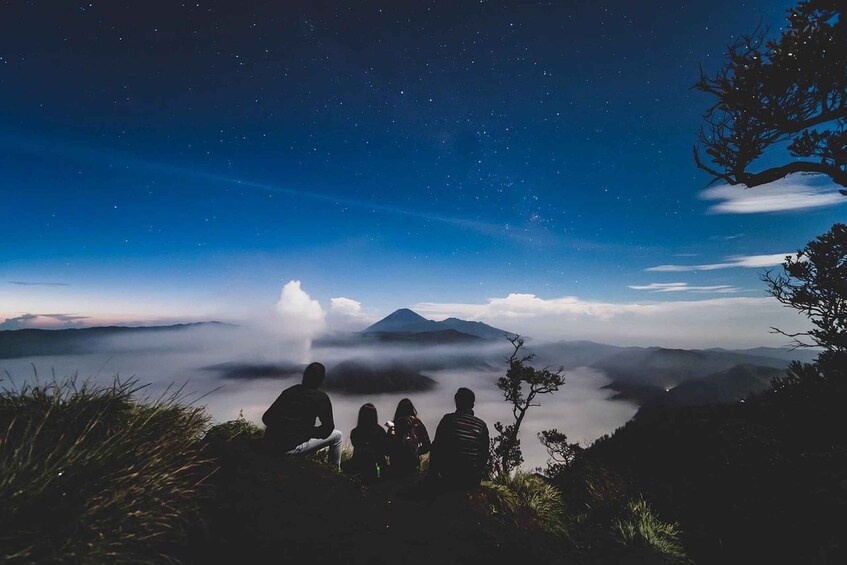 Picture 4 for Activity From Surabaya or Malang: Mount Bromo Sunrise 1-Day Trip