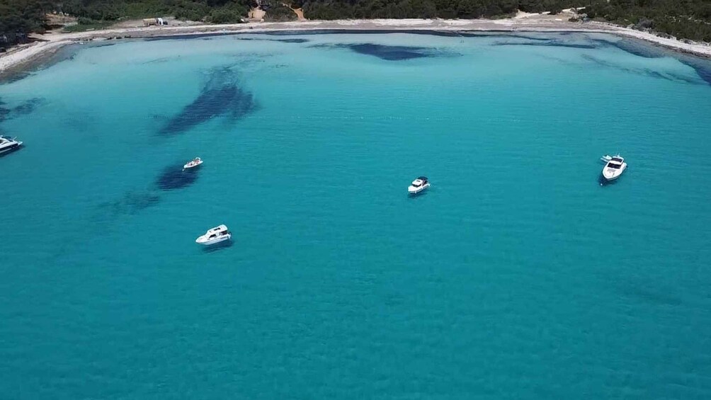 Picture 3 for Activity From Zadar: Speedboat Tour to Kornati with Snorkeling