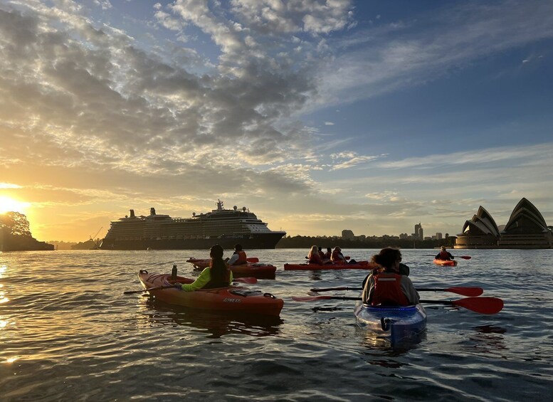 Picture 6 for Activity Sydney: Sunrise Kayak Tour on Sydney Harbour