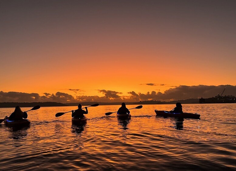 Picture 5 for Activity Sydney: Sunrise Kayak Tour on Sydney Harbour