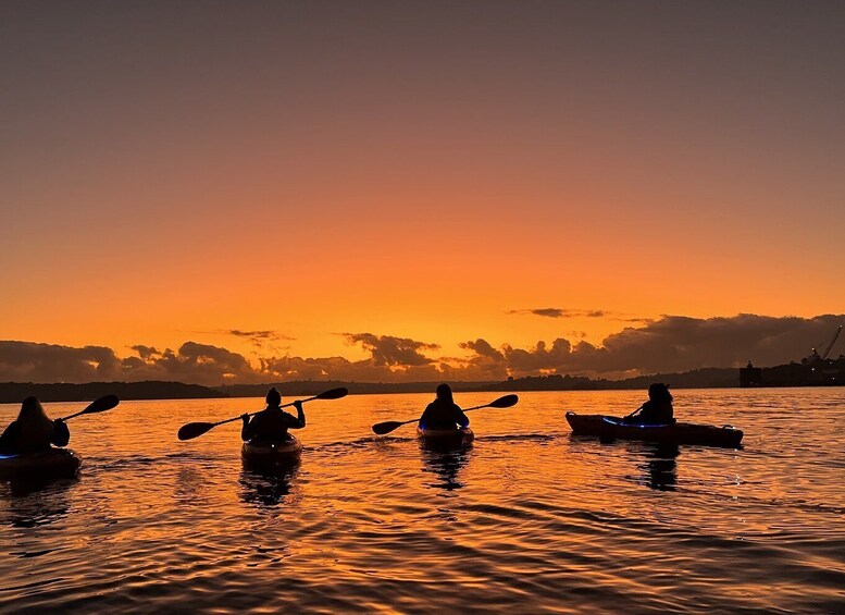 Picture 5 for Activity Sydney: Sunrise Kayak Tour on Sydney Harbour