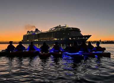 Sydney: Kajaktocht bij zonsopgang in de haven van Sydney