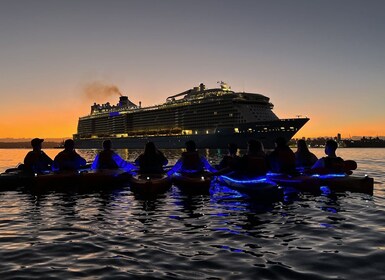 Sydney: Sunrise Kayak Tour on Sydney Harbour