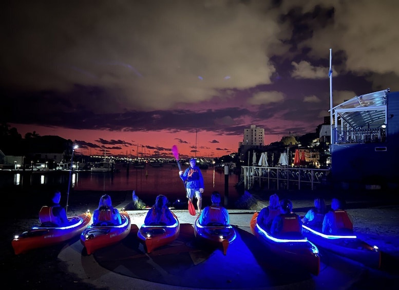 Picture 2 for Activity Sydney: Sunrise Kayak Tour on Sydney Harbour