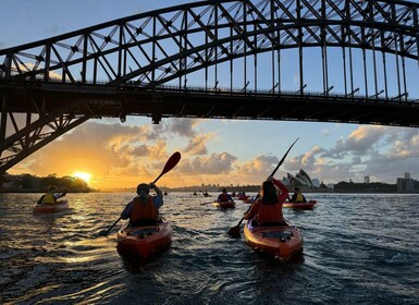 Sydney: Kajaktocht bij zonsopgang in de haven van Sydney