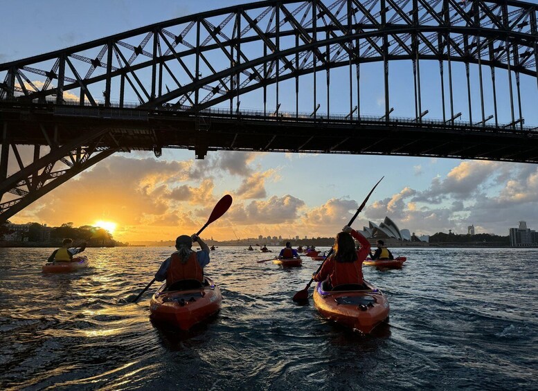 Sydney: Sunrise Kayak Tour, Opera House & Harbour Bridge