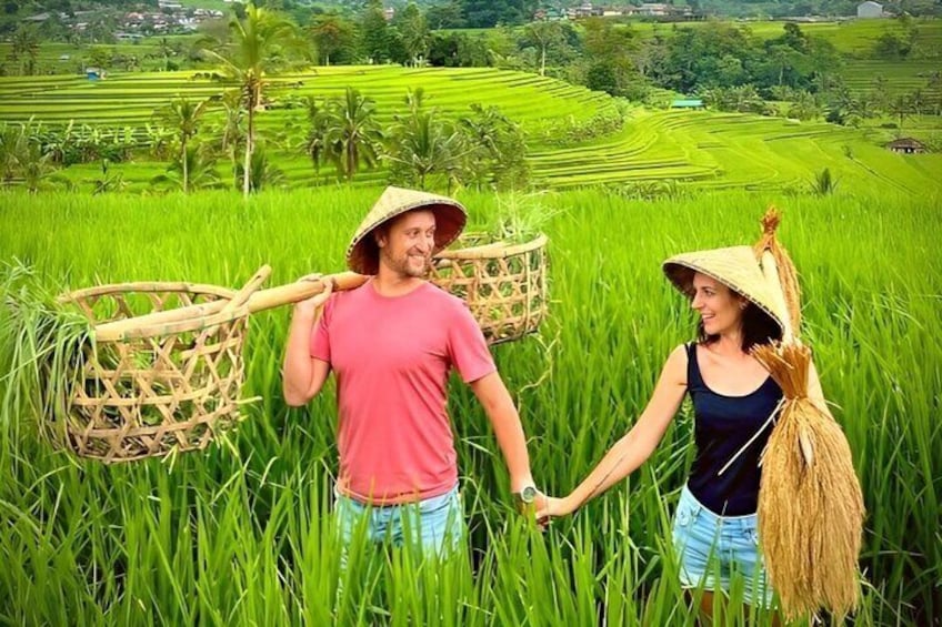 Jatiluwih Rice Field