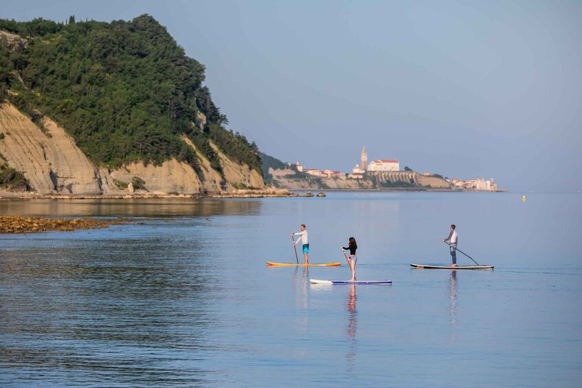 Picture 4 for Activity Exploring the Coast: SUP Adventure from Piran to Strunjan