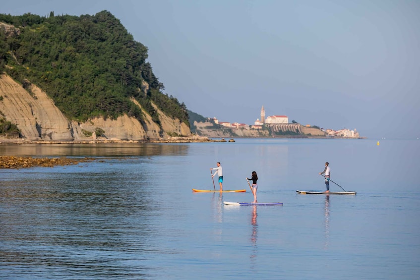 Picture 3 for Activity Exploring the Coast: SUP Adventure from Piran to Strunjan