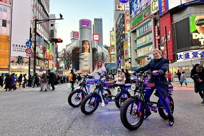 Tokyo Shibuya, Yoyogi, Harajuku E-bike (Electric Bicycle) Rental