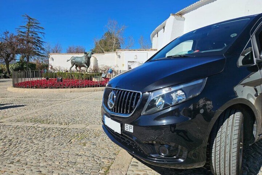 From Marbella: Private Tour in Ronda & Setenil De Las Bodegas