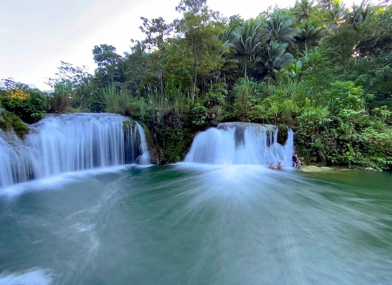 Picture 10 for Activity Panglao: Dao, Forests, and Tarsier Sanctuary Tour with Lunch