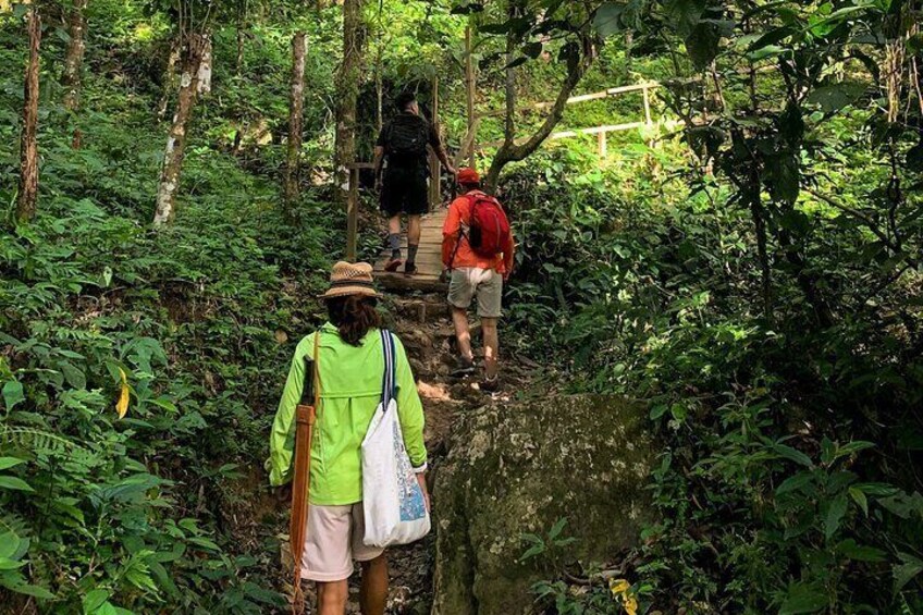 Full Day Tour of the El Tigrero Waterfall Circuit