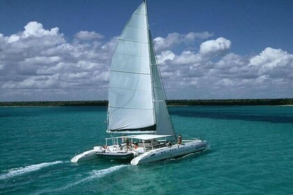 Saona Island Full Day Tour Lunch and Transport Included