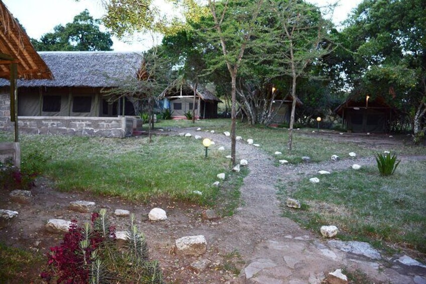 4 Day Group Tour to Maasai Mara and Lake Nakuru by a 4WD Cruiser
