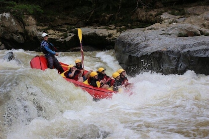 Class IV Whitewater Rafting Private Adventure from Medellín
