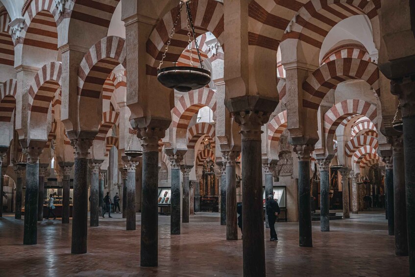 Picture 11 for Activity Córdoba: Mosque-Cathedral and Alcazar Tour