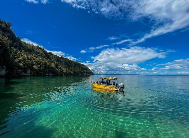 Picture 1 for Activity Kinloch: Lake Taupo Catamaran Cruise with Paddleboarding