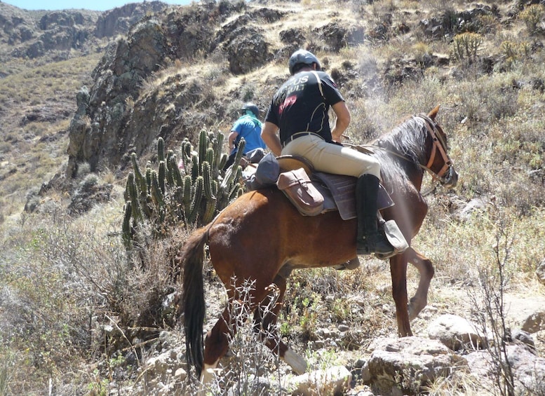 Picture 3 for Activity From Arequipa: Colca Valley/Canyon 2-Day Tour & Horse Riding
