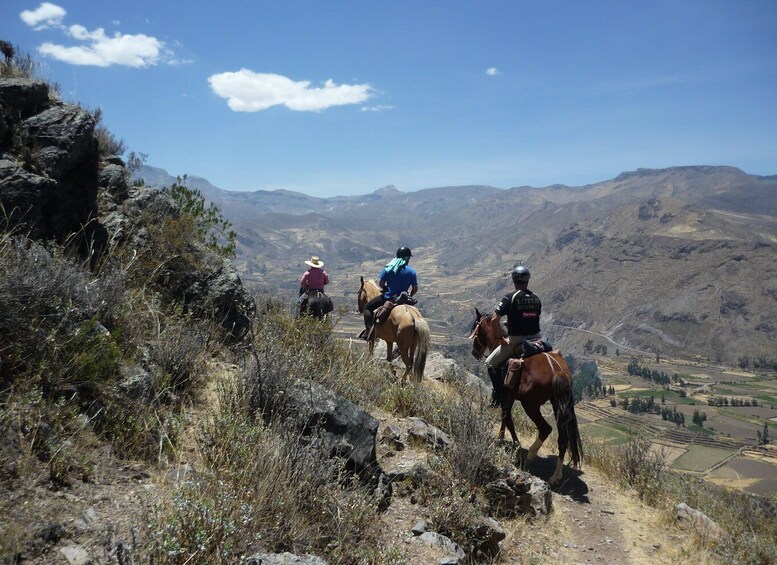 From Arequipa: Colca Valley/Canyon 2-Day Tour & Horse Riding