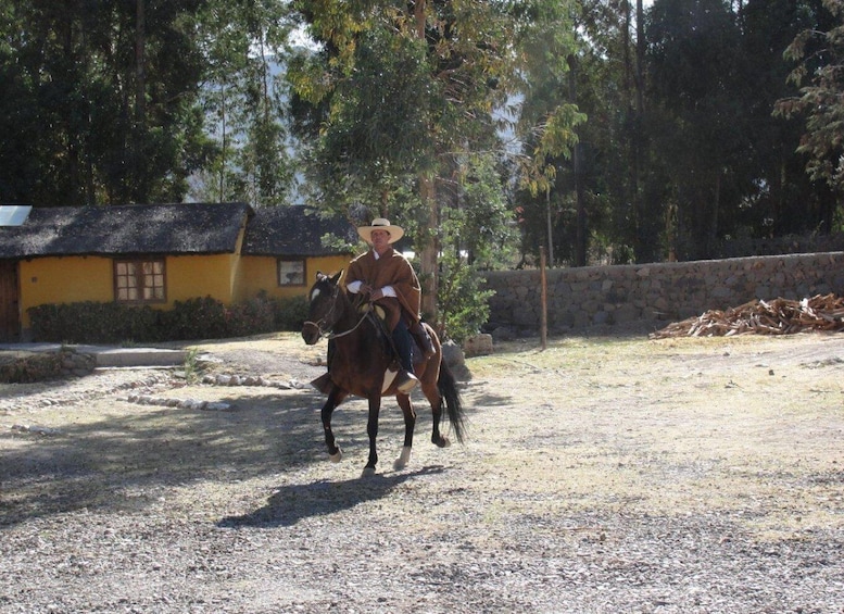 Picture 8 for Activity From Arequipa: Colca Valley/Canyon 2-Day Tour & Horse Riding
