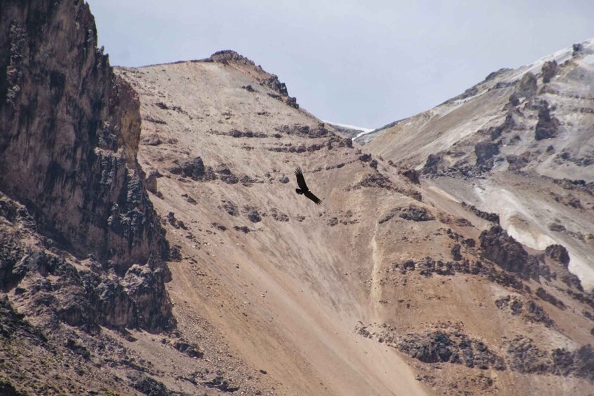 Picture 4 for Activity From Arequipa: Colca Valley/Canyon 2-Day Tour & Horse Riding