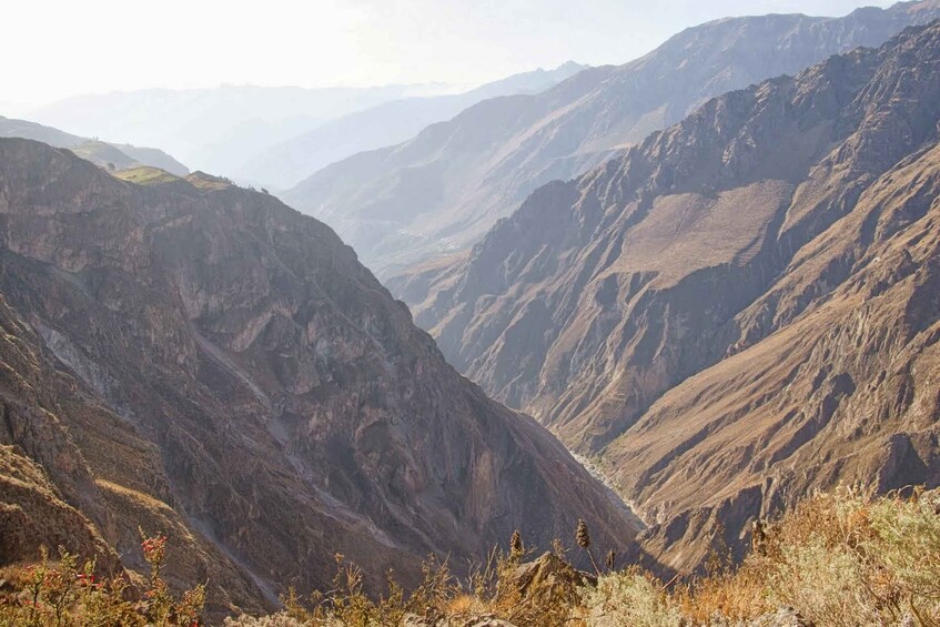 Picture 2 for Activity From Arequipa: Colca Valley/Canyon 2-Day Tour & Horse Riding