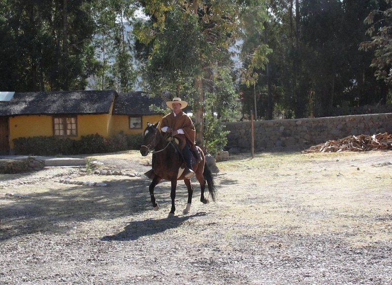 Picture 10 for Activity From Arequipa: Colca Valley/Canyon 2-Day Tour & Horse Riding