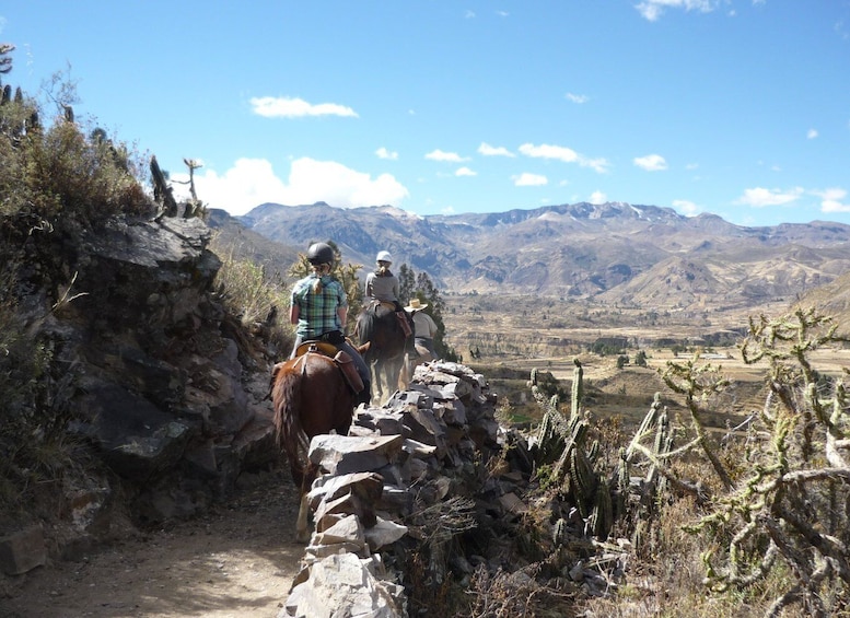 Picture 7 for Activity From Arequipa: Colca Valley/Canyon 2-Day Tour & Horse Riding