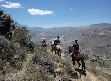 Dari Arequipa: Tur Lembah Colca/Canyon 2 Hari & Menunggang Kuda