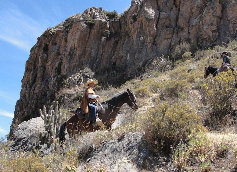 Picture 3 for Activity From Arequipa: Colca Valley/Canyon 2-Day Tour & Horse Riding